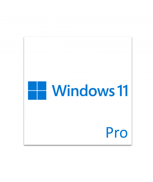 Windows 11 Pro 64-bit DSP License For 1 User (DSP DVD Pack)