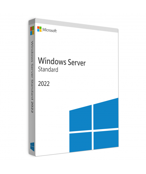 Windows Server 2022 Standard 64-bit 16 Core license for 1 User (DSP DVD Pack)