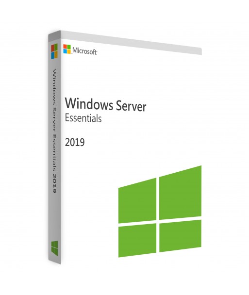 Windows Server 2019 Essentials 6891
